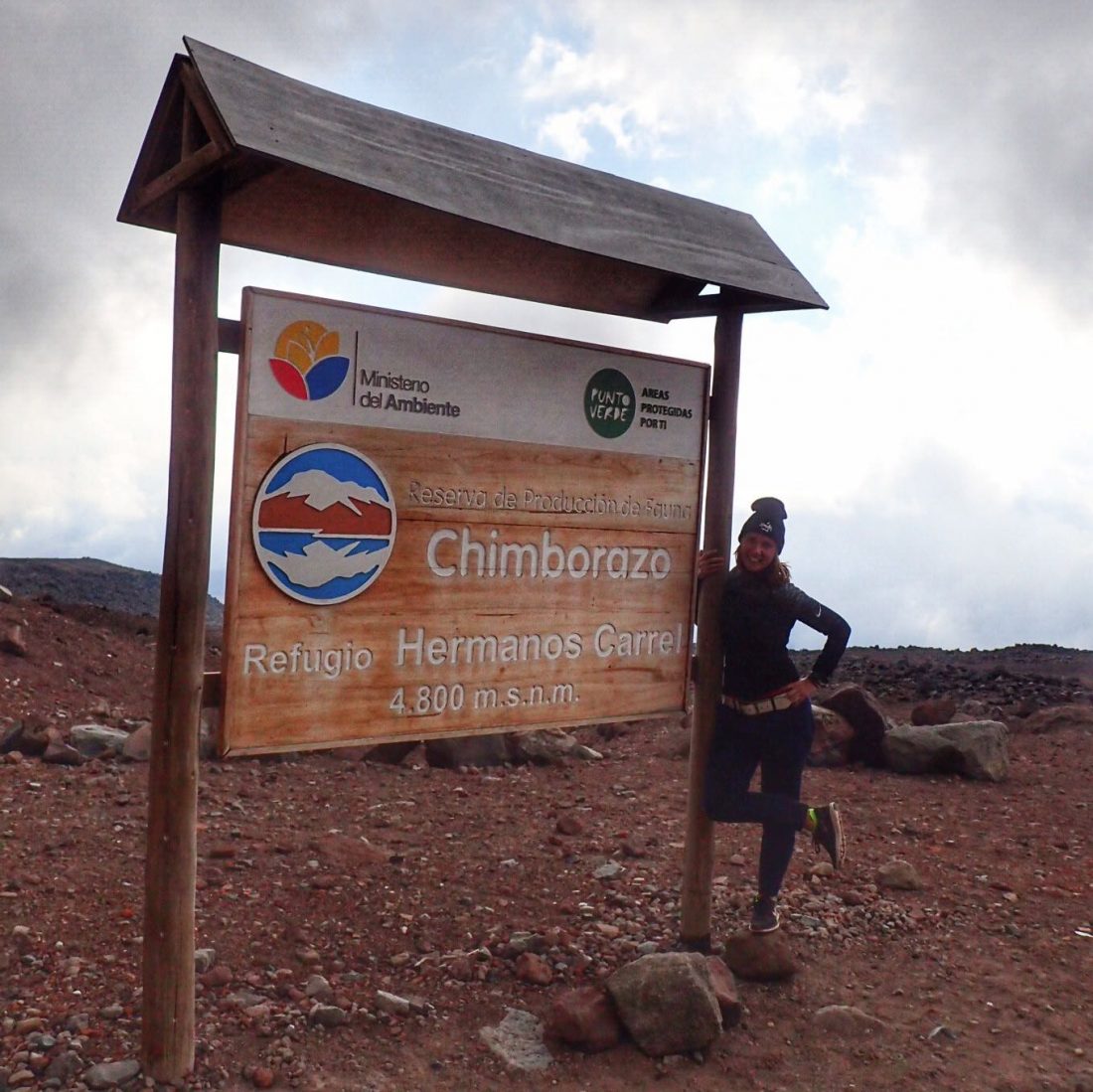 Berggeitje in wording - chimborazo